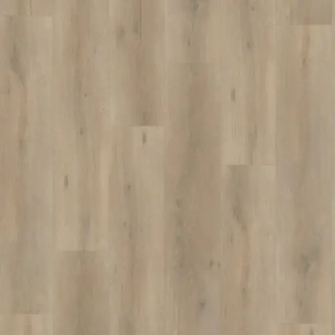 Artline Premium Oak Beige Dryback