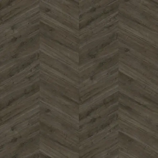 Gelasta Oakland Special 3703 Dryback Hungarian point Soil
