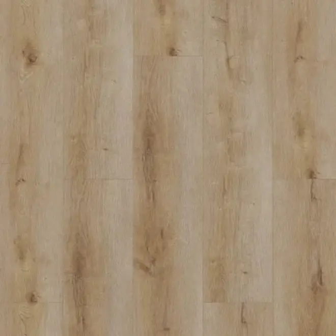 Dynamic 3501 click Natural smoked