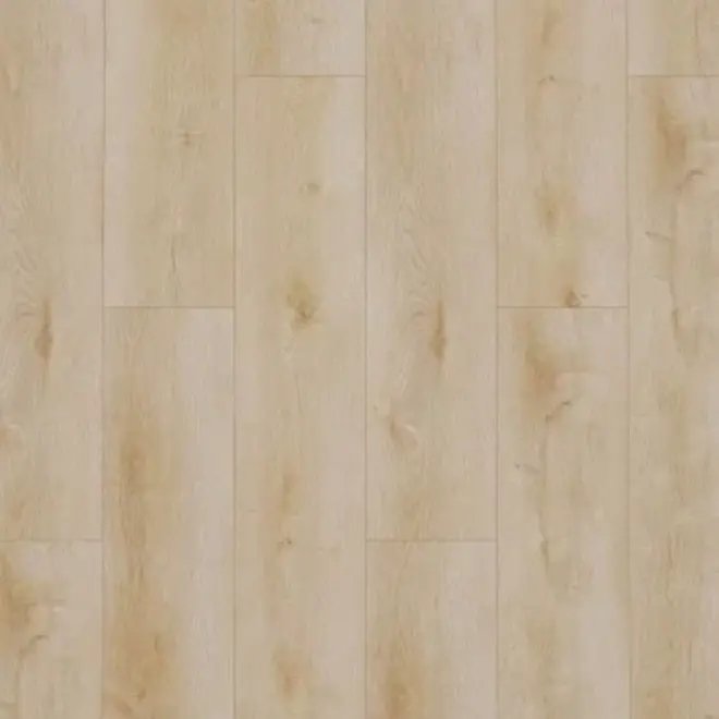 Dynamic 2500 Dryback Natural smoked