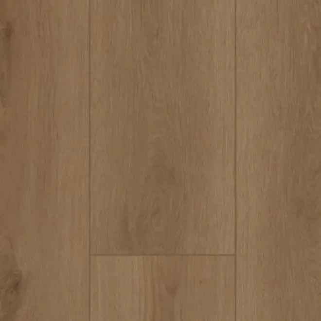 Gelasta Firmfit 6700 Summerfield Naturel Dryback