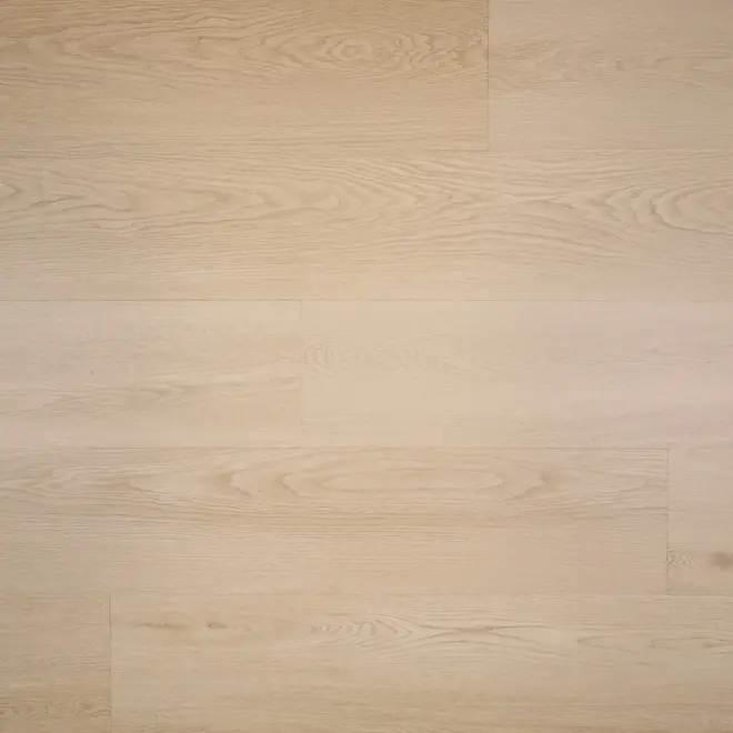 Nieuwe Oogst Aardbei Dryback Pvc