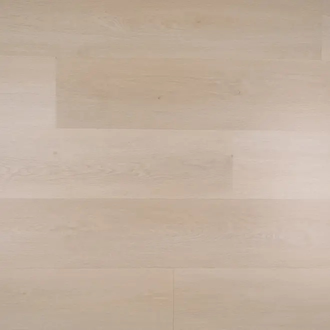 Douwes Dekker Nieuwe Oogst Manderijn Dryback Pvc