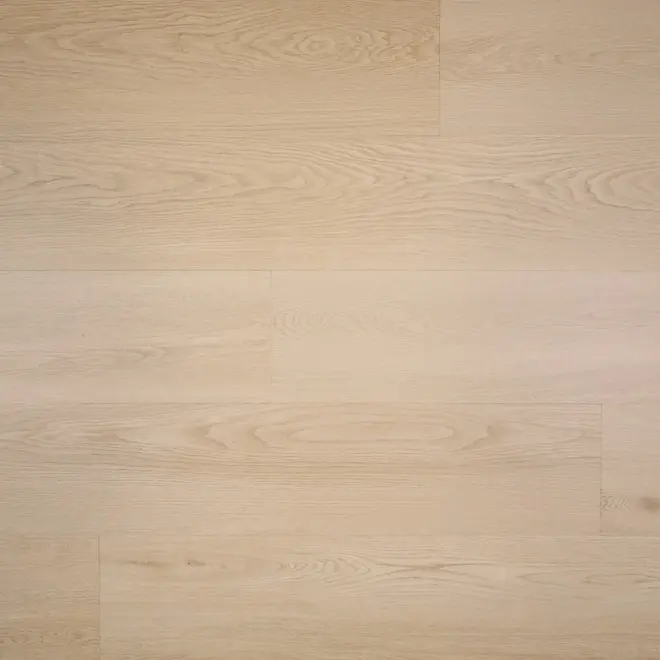 Nieuwe Oogst Aardbei  Click Pvc