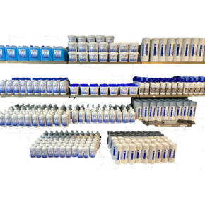 Bacteria/  Start-up Bacteria/  Start-up