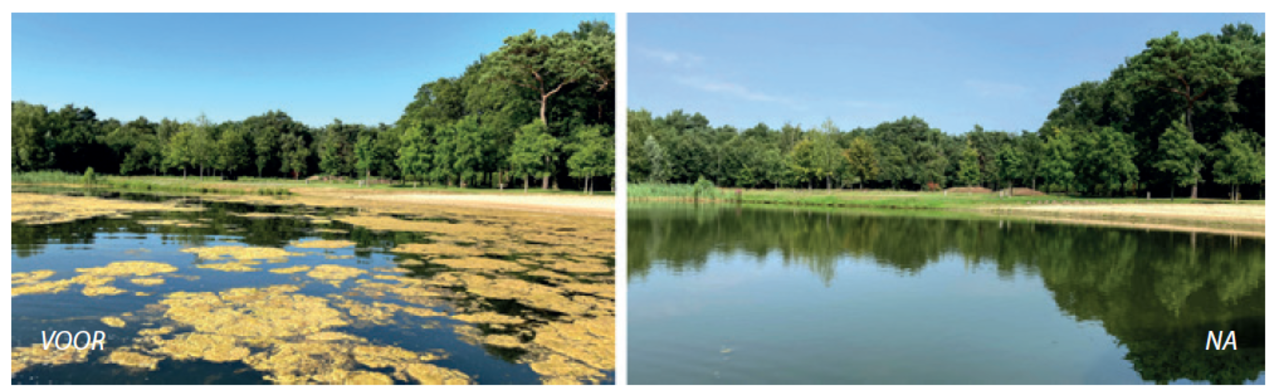 kingfisher NANOBUBBLE GENERATOR kingfisher NANOBUBBLE GENERATOR