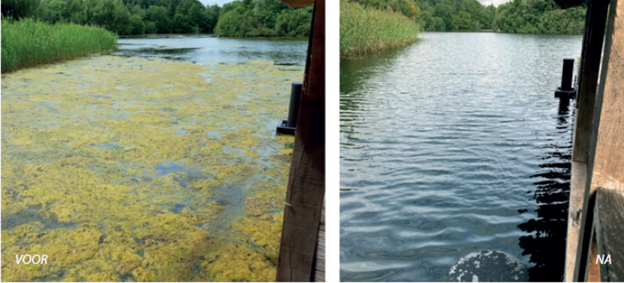 kingfisher NANOBUBBLE GENERATOR kingfisher NANOBUBBLE GENERATOR