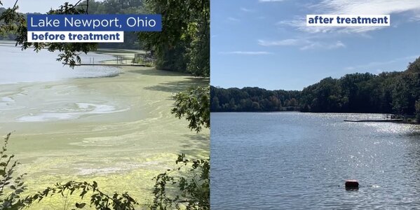 kingfisher NANOBUBBLE GENERATOR kingfisher NANOBUBBLE GENERATOR