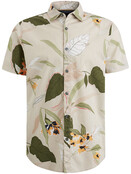 PSIS2404208 PSIS2404208