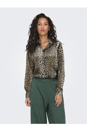 ONLJANE LIFE L/S SHIRT PTM