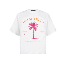 HSS2557 Palm trees