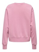 ONLLUCINDA BOW L/S O-NECK BOX