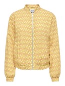 ONLBIANA AOP BOMBER CS OTW