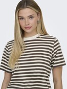 ONLLIVINA S/S STRIPE TEE JRS N