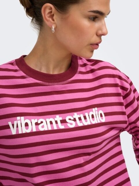ONLFREJA L/S STRIPE TOP CC JRS