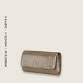 Dionne envelope (Bronze)  RRP € 27,95