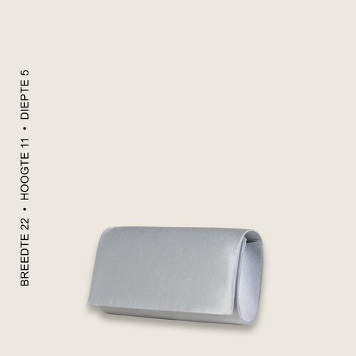 Clutch BULAGGI (zilver) RRP € 24,95