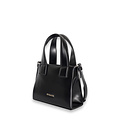 Mini handtas ( zwarte ) RRP 59,95