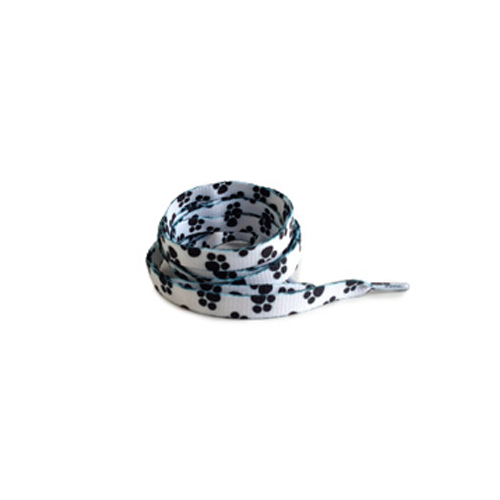 Schnürsenkel Dalmatiers