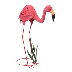 Flamingo's Flamingo's