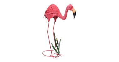 Flamingo's