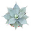 Agave truncata "hybride" (pot C-35)