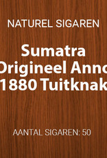 Hoogeboom Sumatra Tuitknak 1880