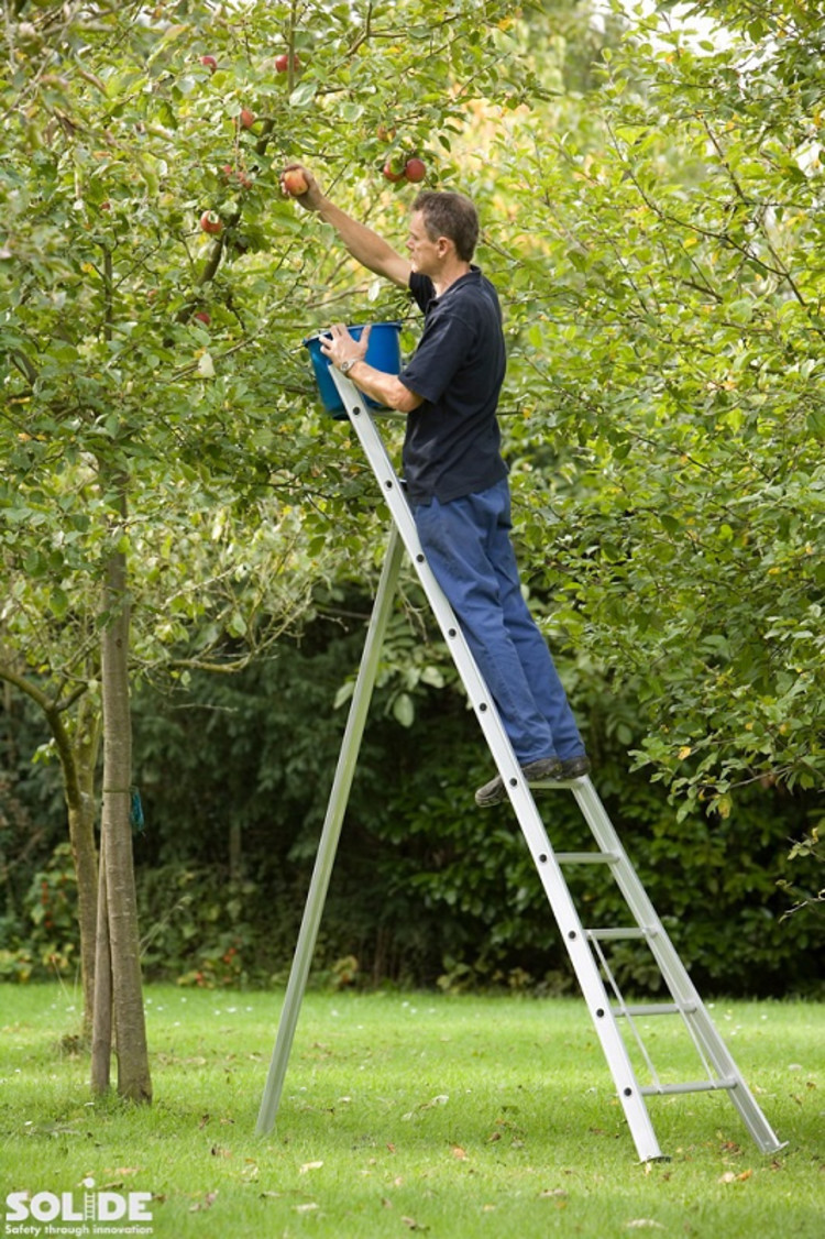 Solide Plukladder 6 Sporten