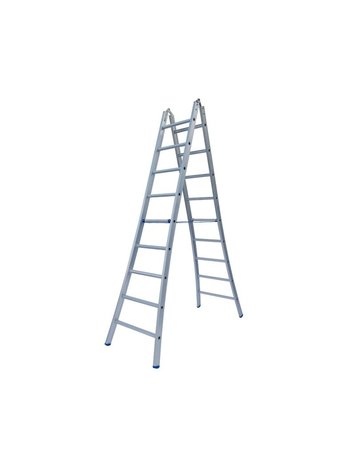 Solide Dubbele Scharnier Ladder 2X12