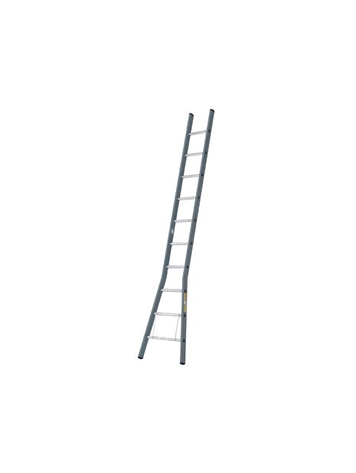 Dirks Enkele ladder 21 sporten (Gecoat)