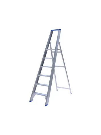 Solide Professionele Enkele Trap 6 Treden