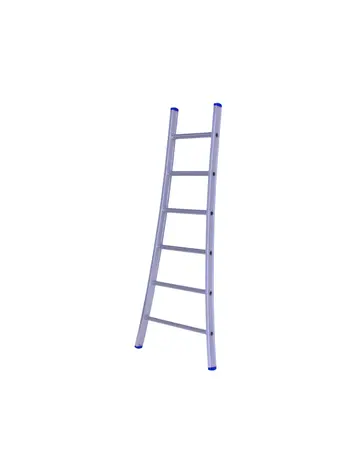 Solide Enkele Ladder 6 Sporten