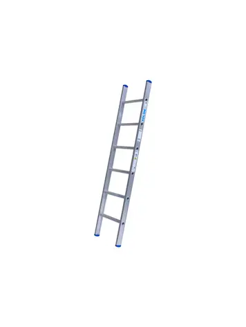 Solide Enkele Ladder 6 Sporten