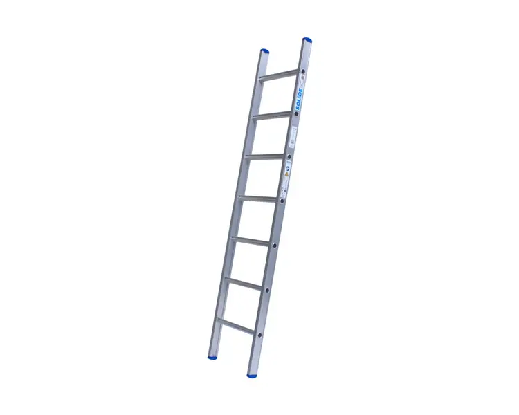 Solide Enkele Ladder 7 Sporten