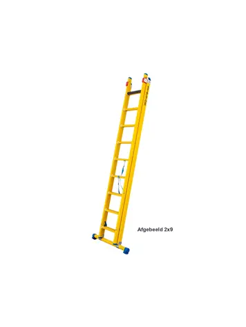 Staltor Kunststof Reformladder 2x6