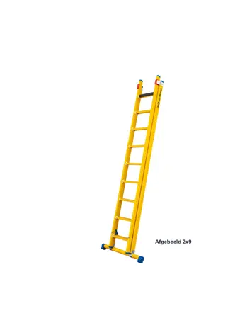 Staltor Kunststof Opsteekladder 2x10