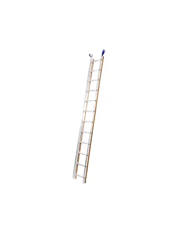 Solide Dakladder 3 Meter