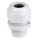 Jacob Wartels & Wartelmoeren