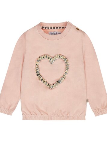 DIRKJE MEISJES BABY TRUI HART