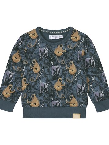 DIRKJE BABY JONGENS TRUI AAPJES