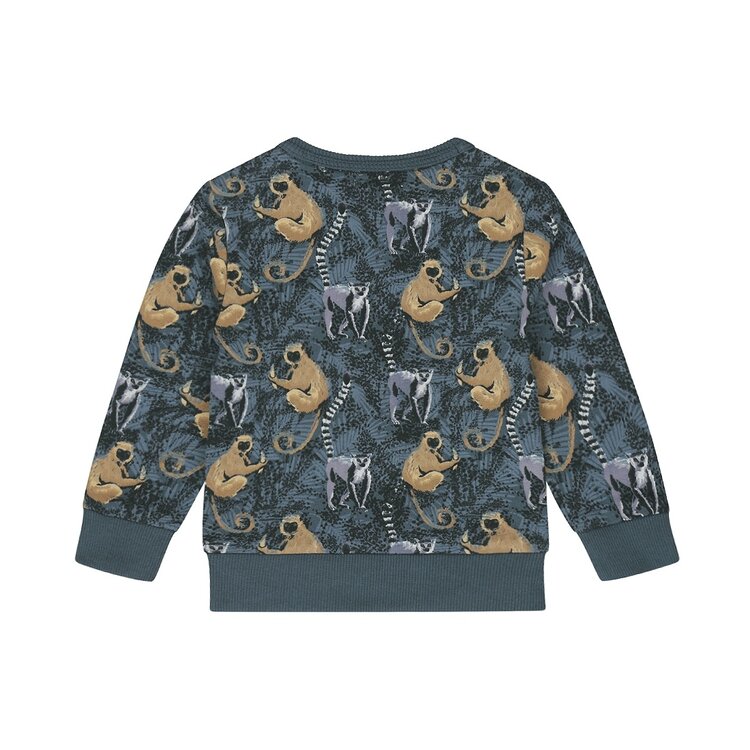 DIRKJE BABY JONGENS TRUI AAPJES