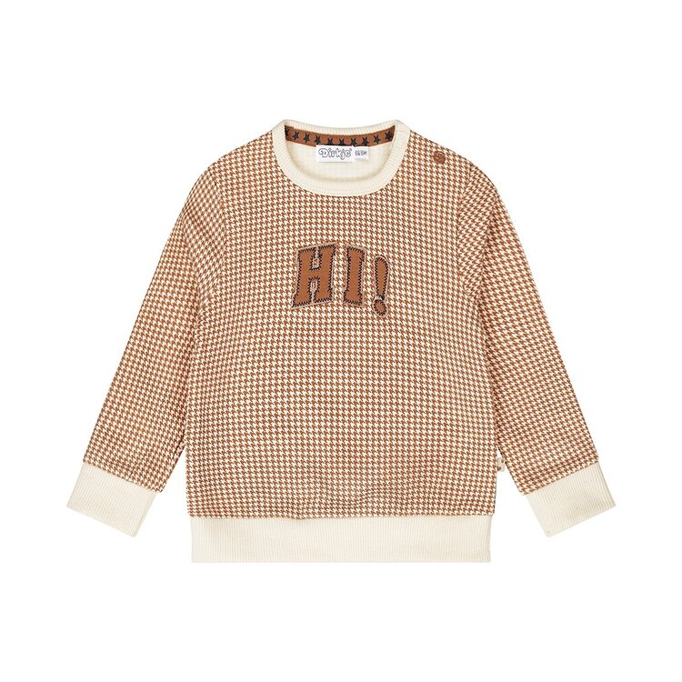 DIRKJE BABY JONGENS TRUI  PIED DE POULE