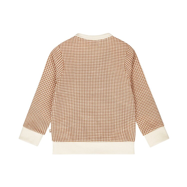 DIRKJE BABY JONGENS TRUI  PIED DE POULE