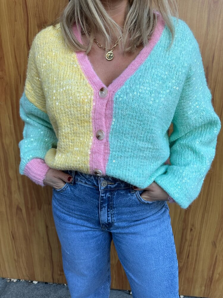 DAMES VEST MULTI PASTEL PAILLETTEN