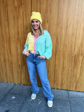 DAMES VEST MULTI PASTEL PAILLETTEN