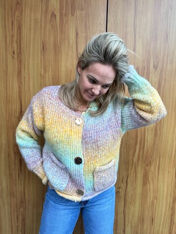 DAMES VEST GEBREID PAARS/GEEL