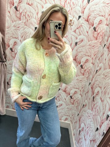 DAMES VEST GEBREID PASTEL