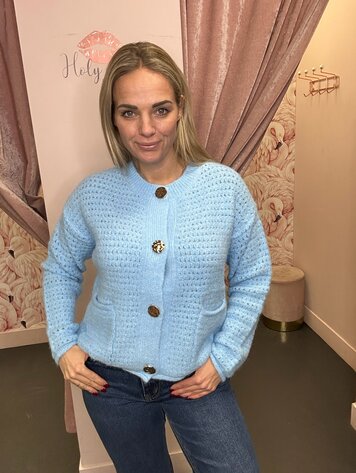 DAMES VEST GEBREID BLAUW