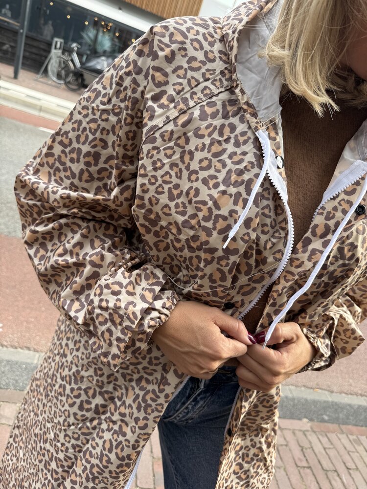 DAMES REGENJAS PANTER