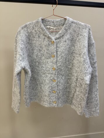 DAMES VEST HARTJE GRIJS